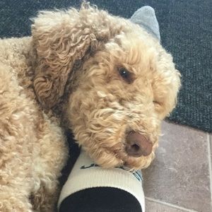 Meet your Posher, Ashlyn